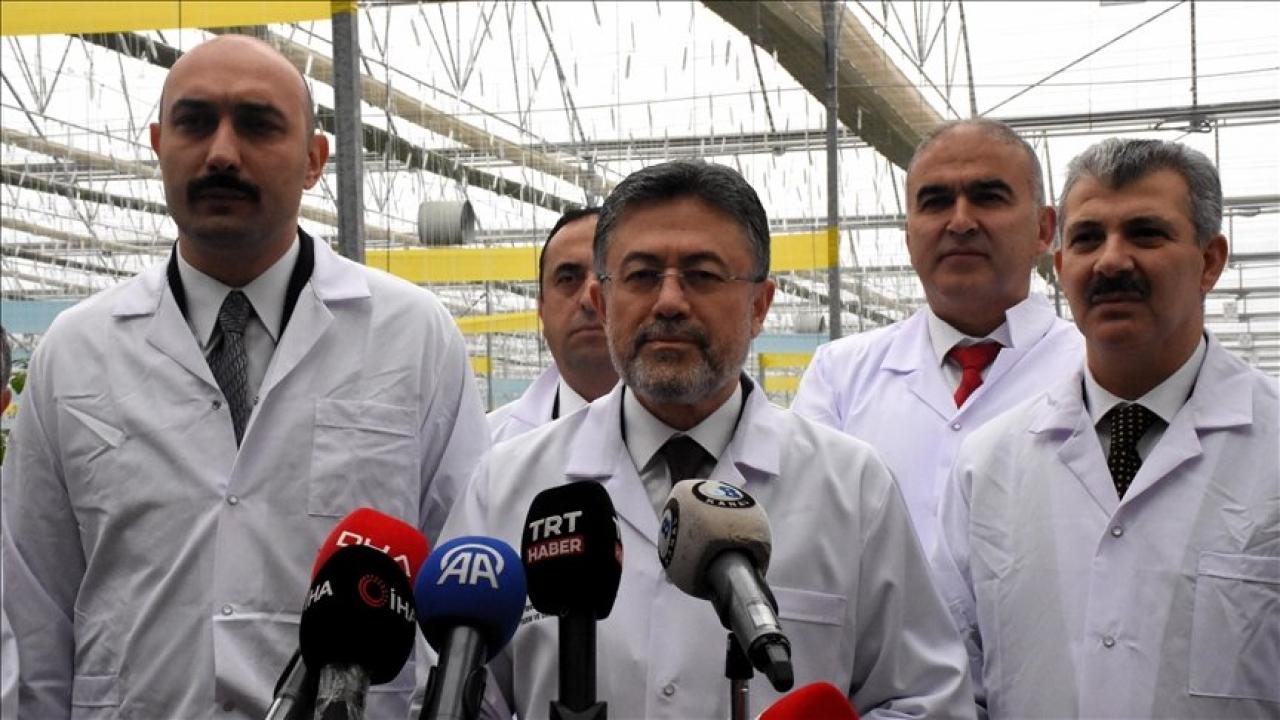 Şırnak Silopi Sera OTB tamamlandı: Ekonomiye 1,2 milyar liralık dev katkı
