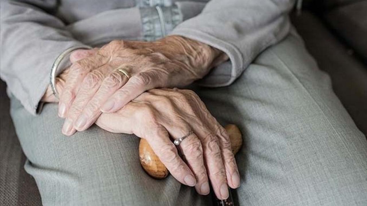 OVP’den yaşlılar için bakım sigortası çıktı