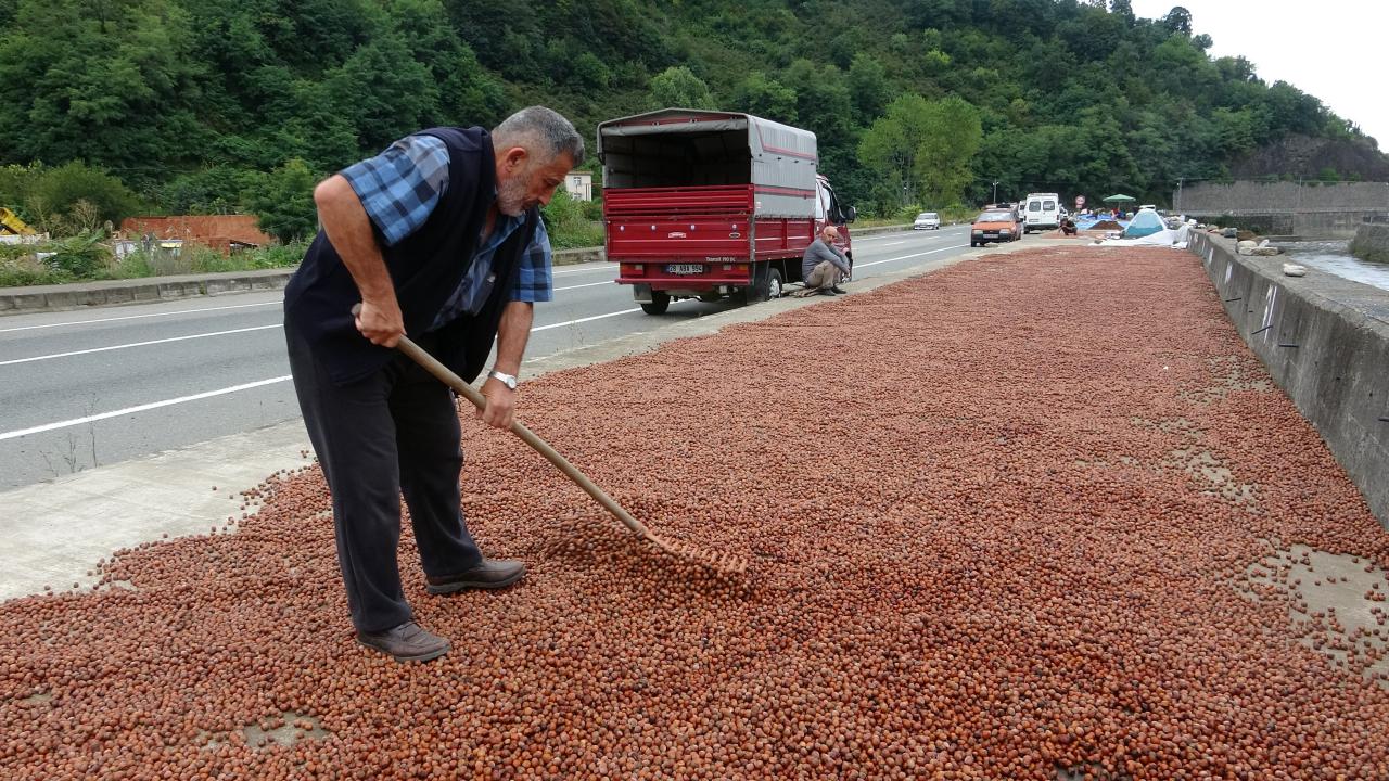 Fındık üreticisi serbest piyasadan çekilip TMO’ya yöneldi