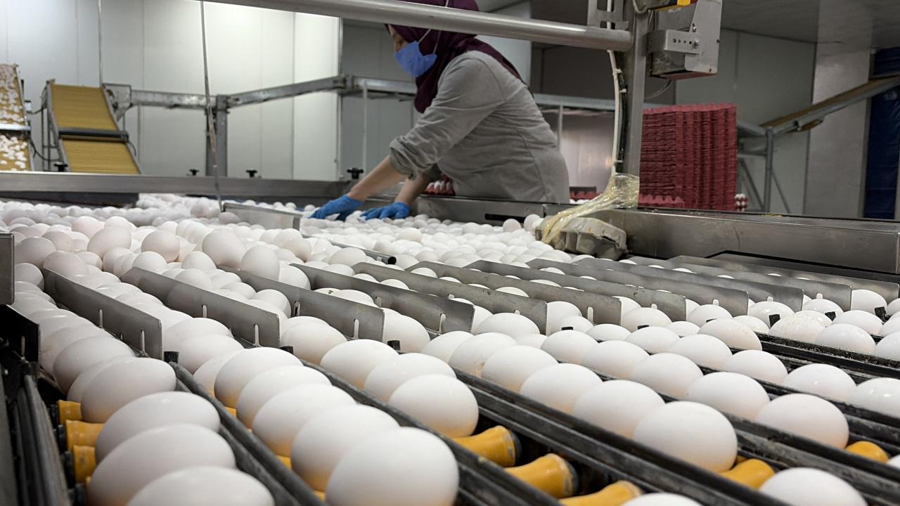 Yumurta fiyatları için dikkat çeken açıklama! Arz fazlası zam beklentisini rafa kaldırdı