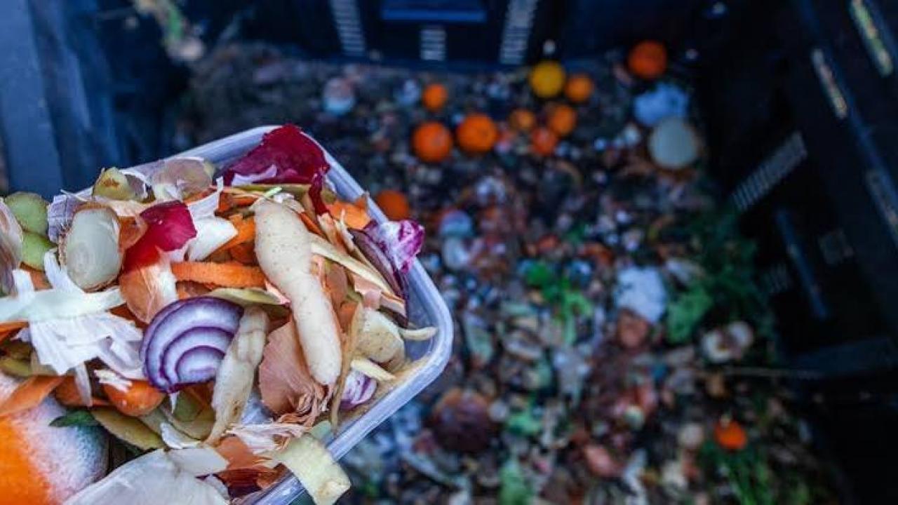 AB'de gıda israfı alarmı: Kişi başına 129 kilogram!