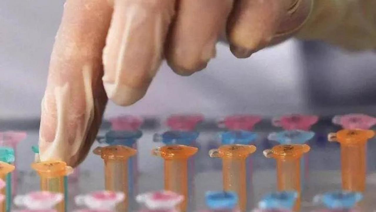 Sibirya’da gizemli zatürre vakasının temaslılarında Kovid-19 ve rinovirüs çıktı